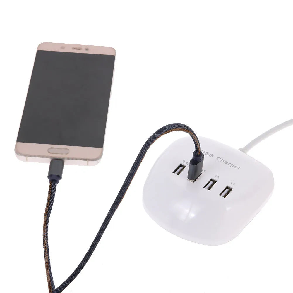 Dual-port USB wall charger with ABS plastic housing showing EU and US plug options