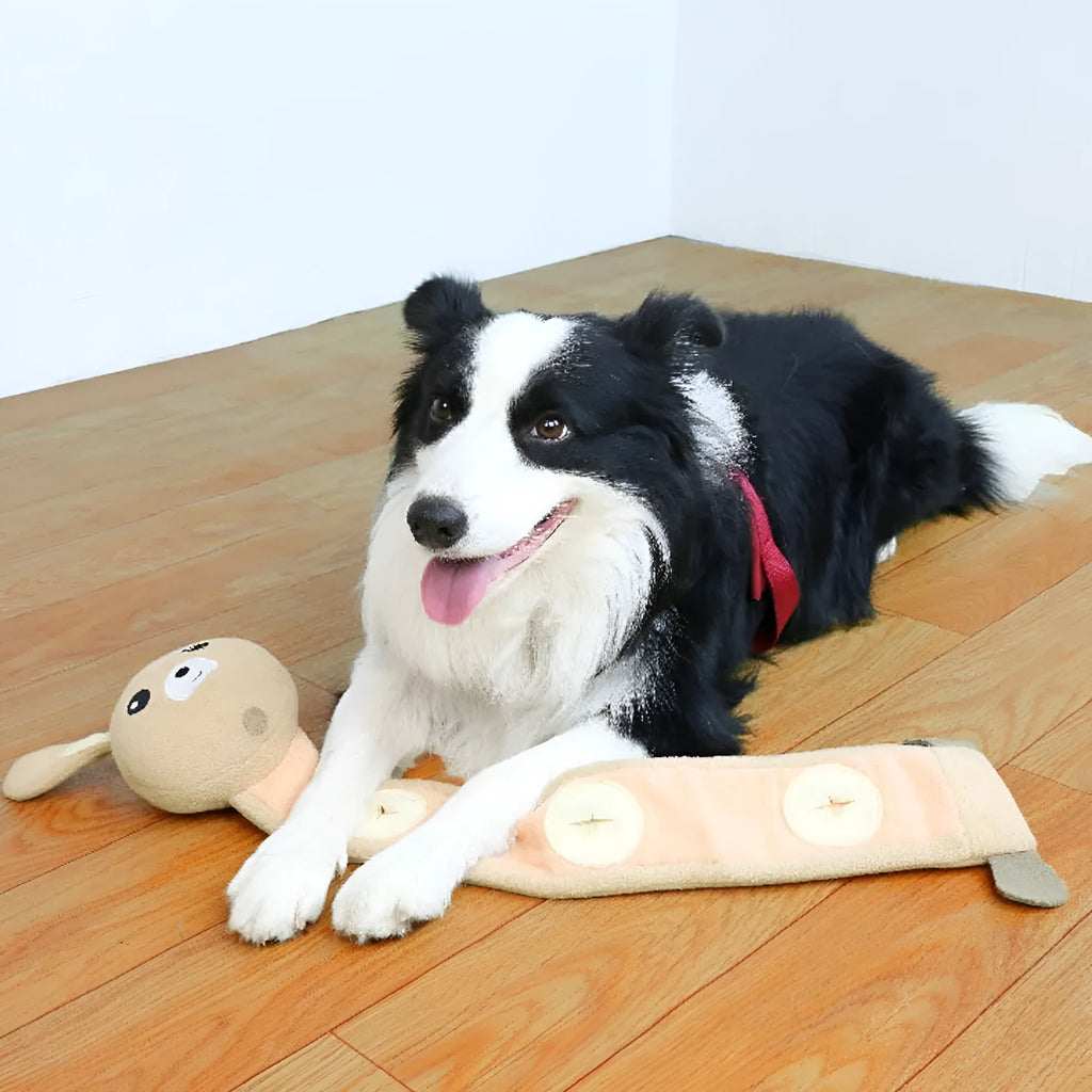 Poached bunny coloured plush dog training toy with food hiding compartments