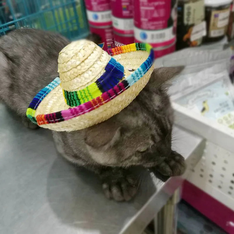 Pet Supplies Straw Woven Mini Pet Dog Straw Hat Pet Mexican Straw Hat Pet Cat Sun Hat for Small Dogs and Cats with Unique Pattern Casual Style Cone Height 7 cm