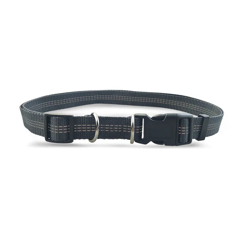 Reflective hands-free dog lead with elastic bungee, waist belt and phone pocket, adjustable 160-260cm