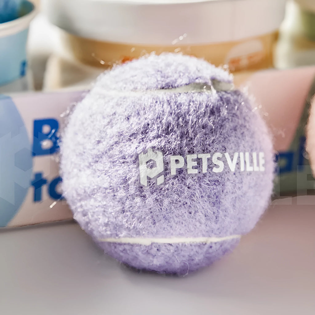 Interactive plastic dog tennis ball toy in purple green blue yellow or pink for outdoor fetch