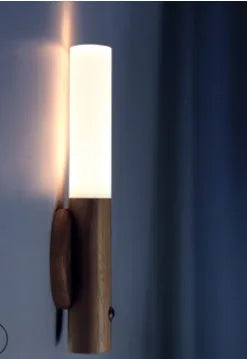 Brown and white induction night light with LED source and plexiglass shade for corridors