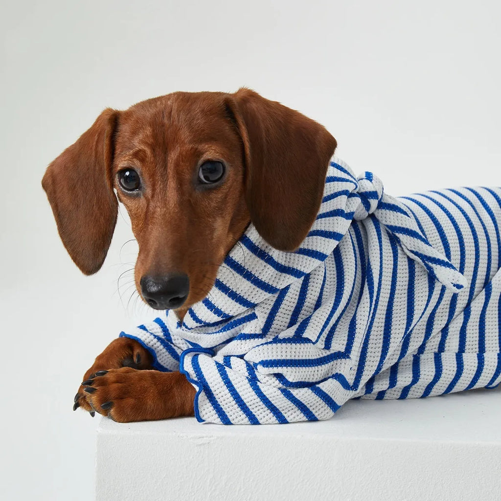 Striped hooded pet clothes in red and blue for dogs and cats, two feet design