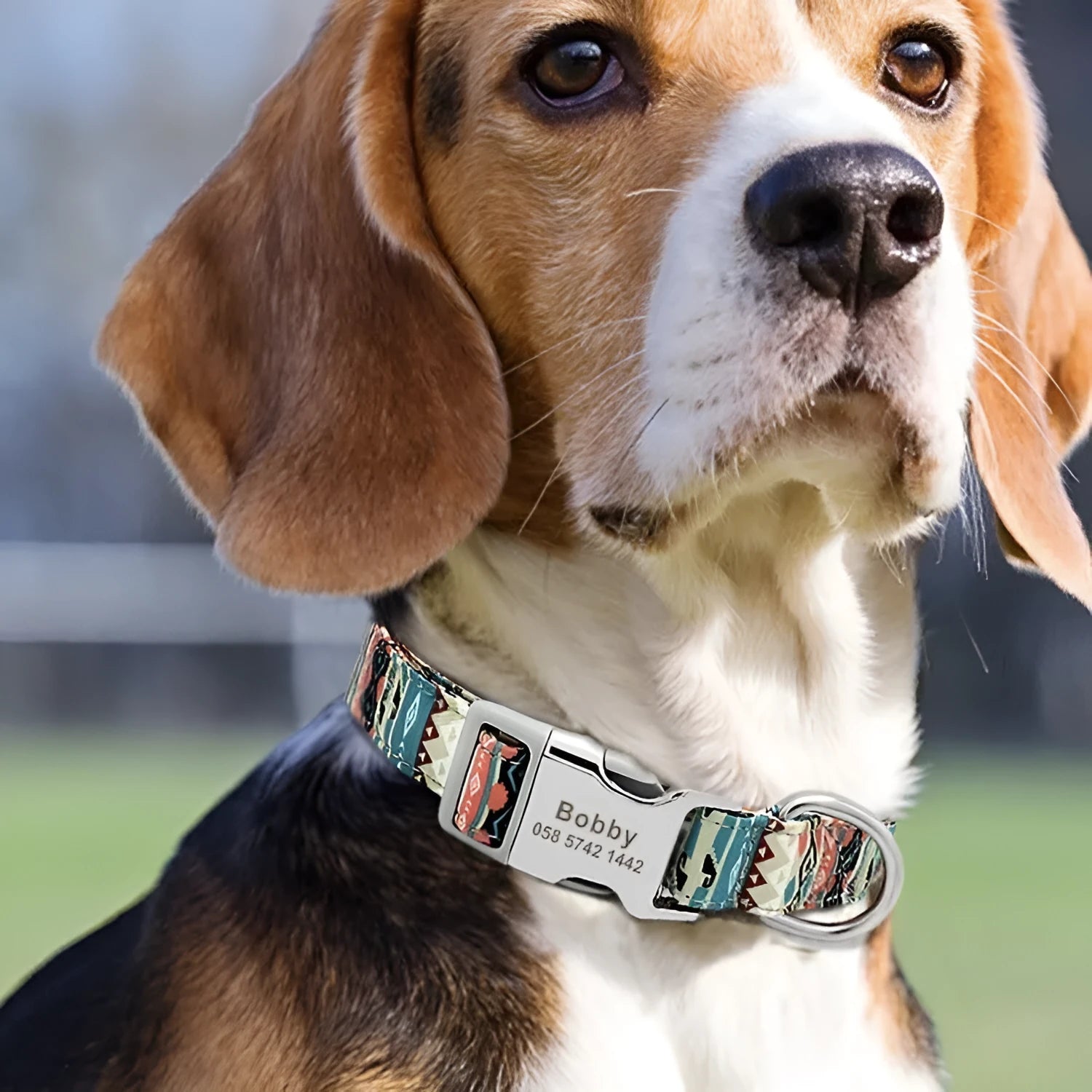 Canvas dog collar with striped bohemian pattern and adjustable semi-metal buckle for medium large dogs