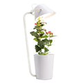 White plastic desktop hydroponic plant growth container for soilless cultivation.