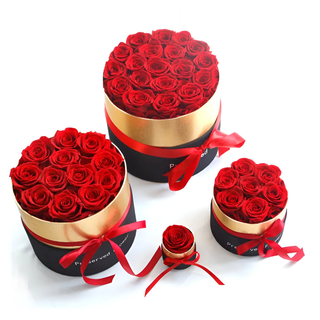 Luxury gift box open to display preserved real red roses, a Valentine's Day gift set.