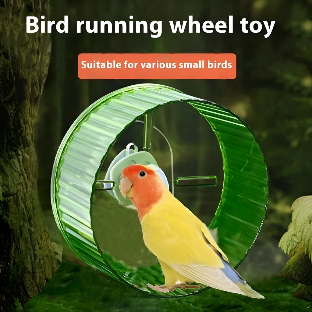 Plastic parrot running wheel toy for bird exercise in multiple colours and sizes