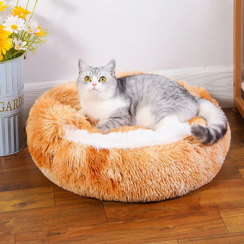 Semi-surrounded waterproof cloth dog kennel in a gradient colour, shown in a 50cm size.