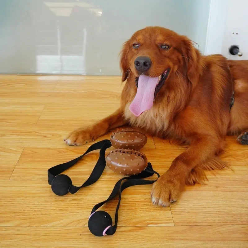 Brown coffee bean shaped dog chew toy with textured surface and hidden rope knot design