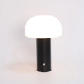 USB-powered dual-purpose plastic table lamp in black, white, orange, or green colour