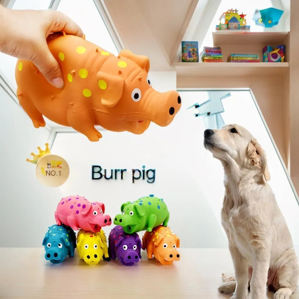 Blue latex pig-shaped squeaky dog chew toy on a white background.