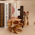 Skull-shaped Himalayan crystal salt lamp with USB dimmable LED showing warm amber light on a resin base