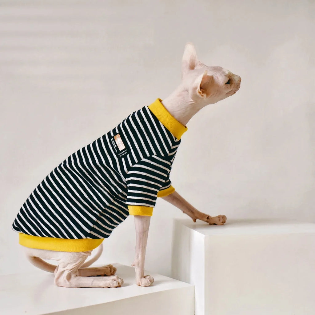 Black cotton sweater for Sphinx hairless cat, available in multiple sizes from XS to XXL