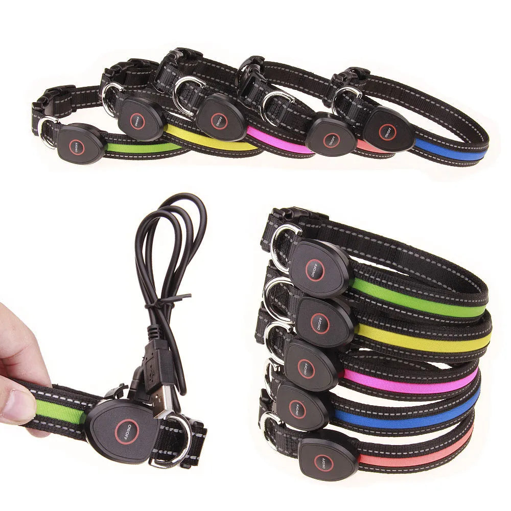 Adjustable dog luminous collar in glow colour with telescopic fit for night walk visibility