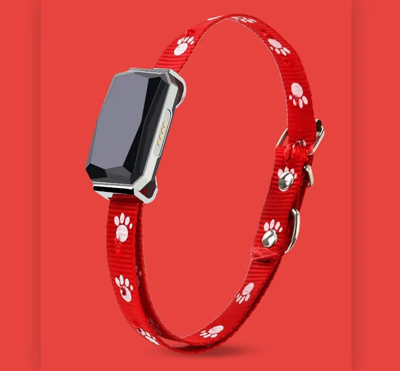 Black pet GPS tracking collar with LED light, Beidou and GPS positioning, on a light background