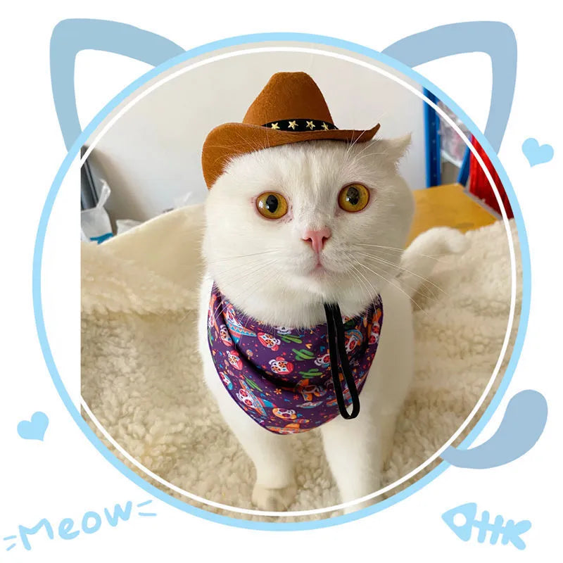 British cat cowboy hat in non woven fabric with ribbon details for small to medium cats