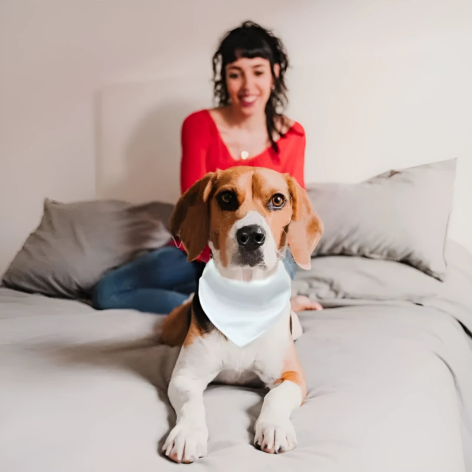 Blank white adjustable dog scarf for thermal transfer customisation with size options