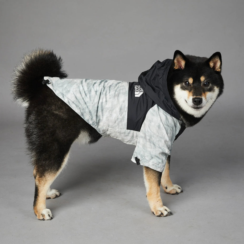 Dog shell jacket in polyester, available in sizes S-5XL, black or waste paper print.