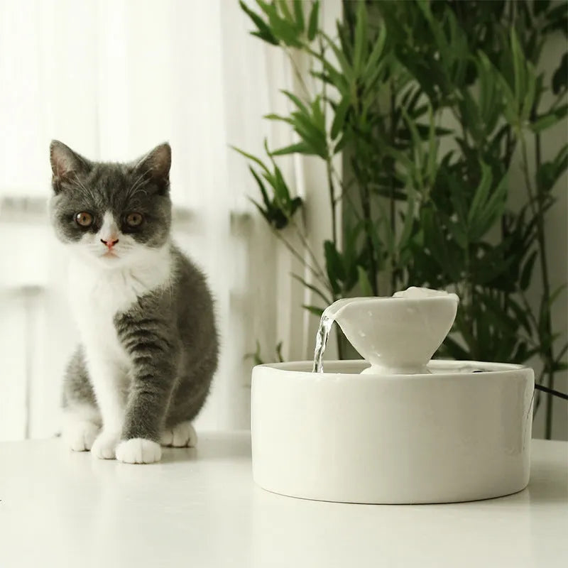 White ceramic cat drinking fountain with automatic circulation and USB power cord