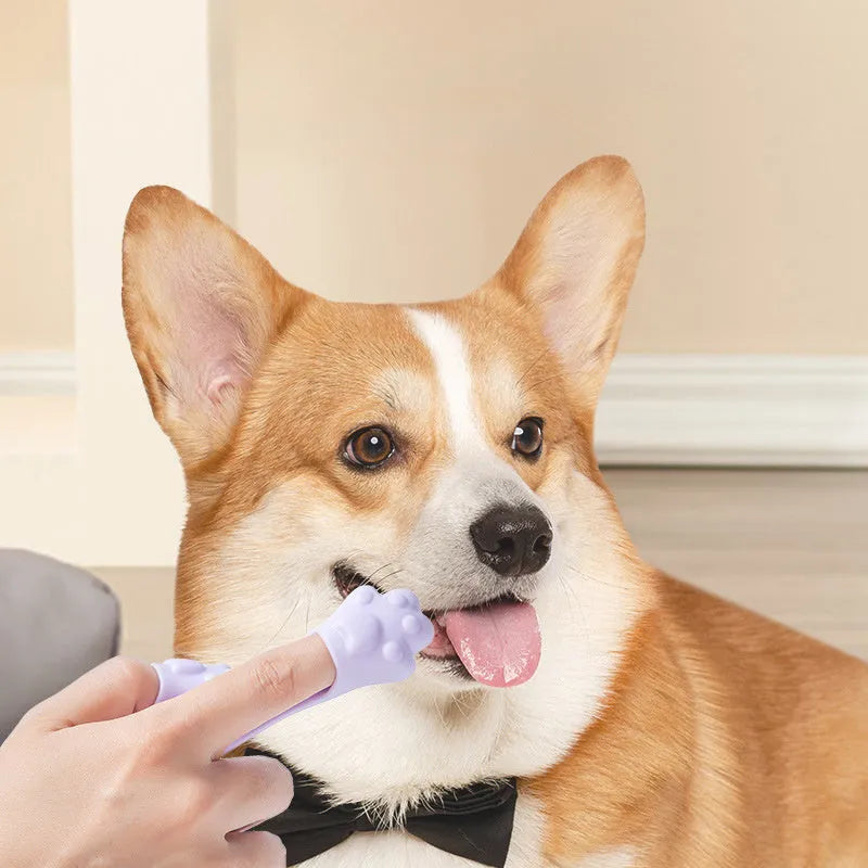 Silicone finger toothbrush for pets in pink, purple and yellow colours for dog and cat dental care