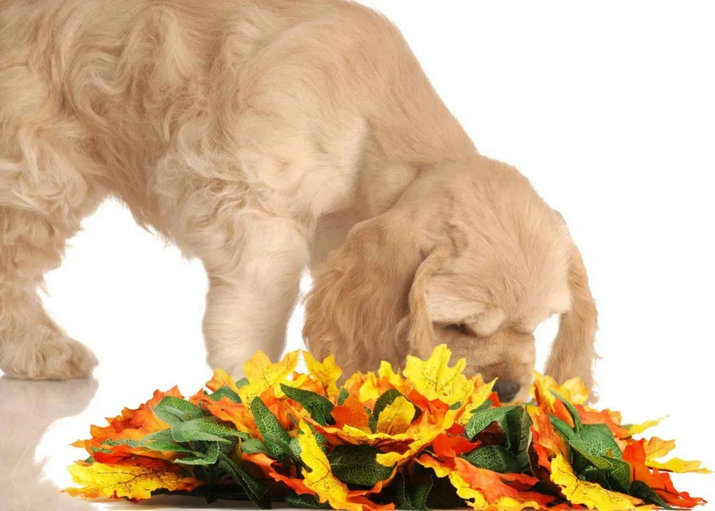 Pet jungle feeding mat, washable sniffing blanket, 55x50cm, fabric silk screen and glass fibre, colours A and B