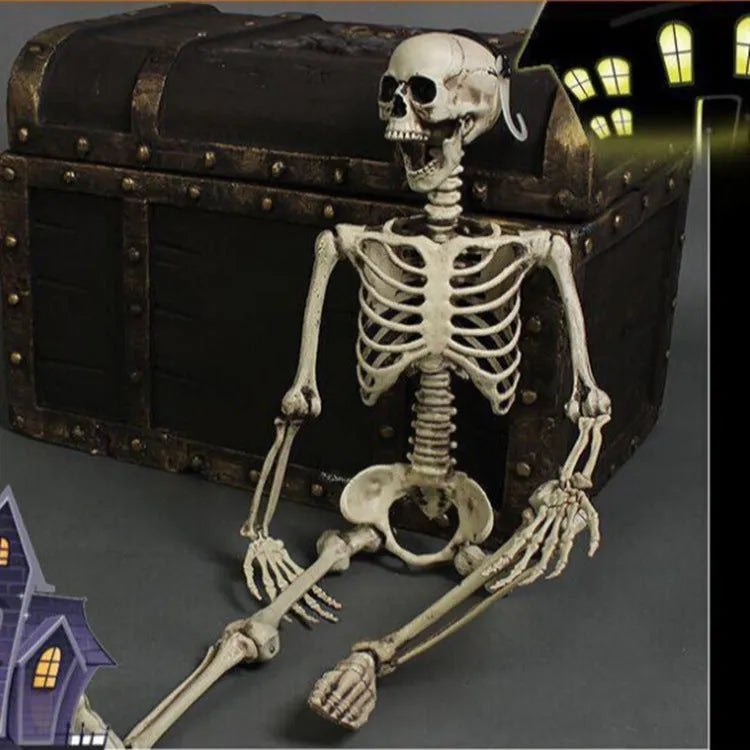 Full-sized 170 cm tall plastic skeleton prop with detailed skull on a stand.