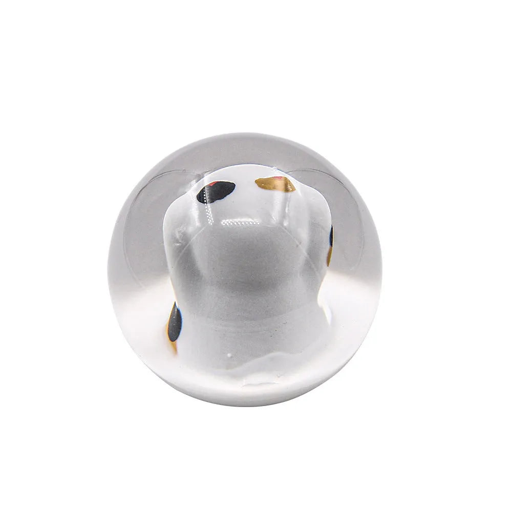 Black JDM Lucky Cat acrylic gear head with three adapters for universal fit