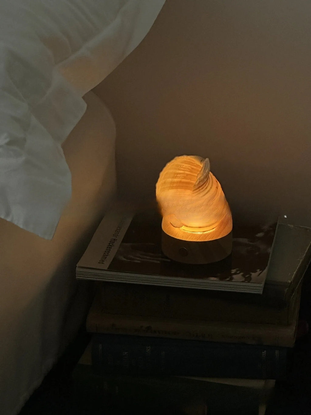 Creative natural conch shell small night lamp with USB charging cord on a table