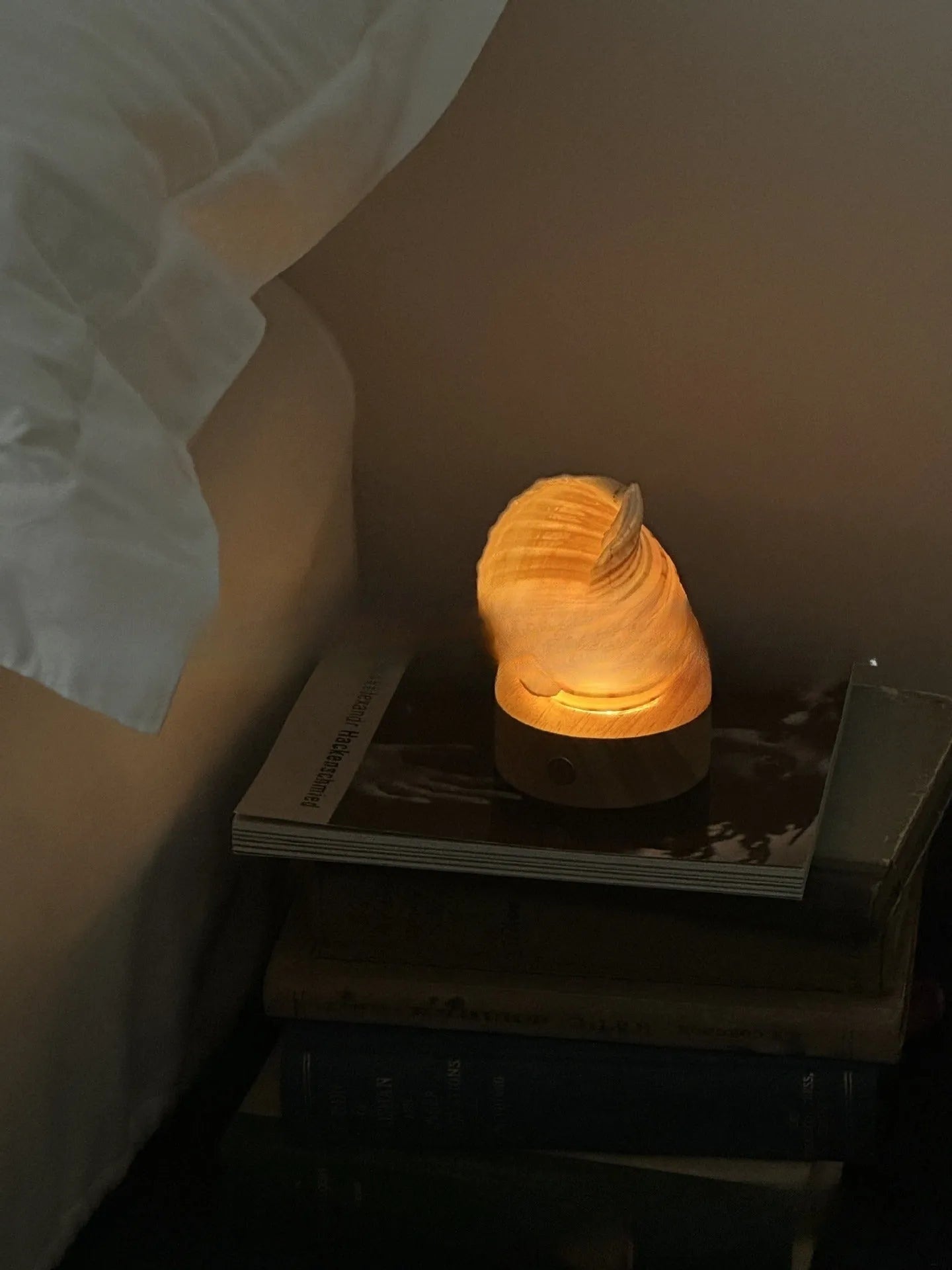 Creative natural conch shell small night lamp with USB charging cord on a table