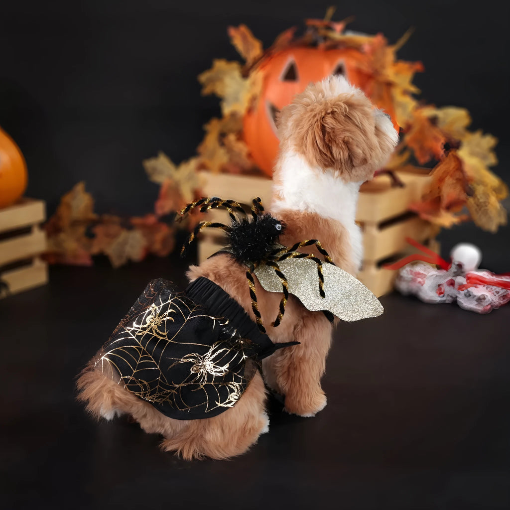 A dog wearing a black and white Halloween suit costume, shown in size L.