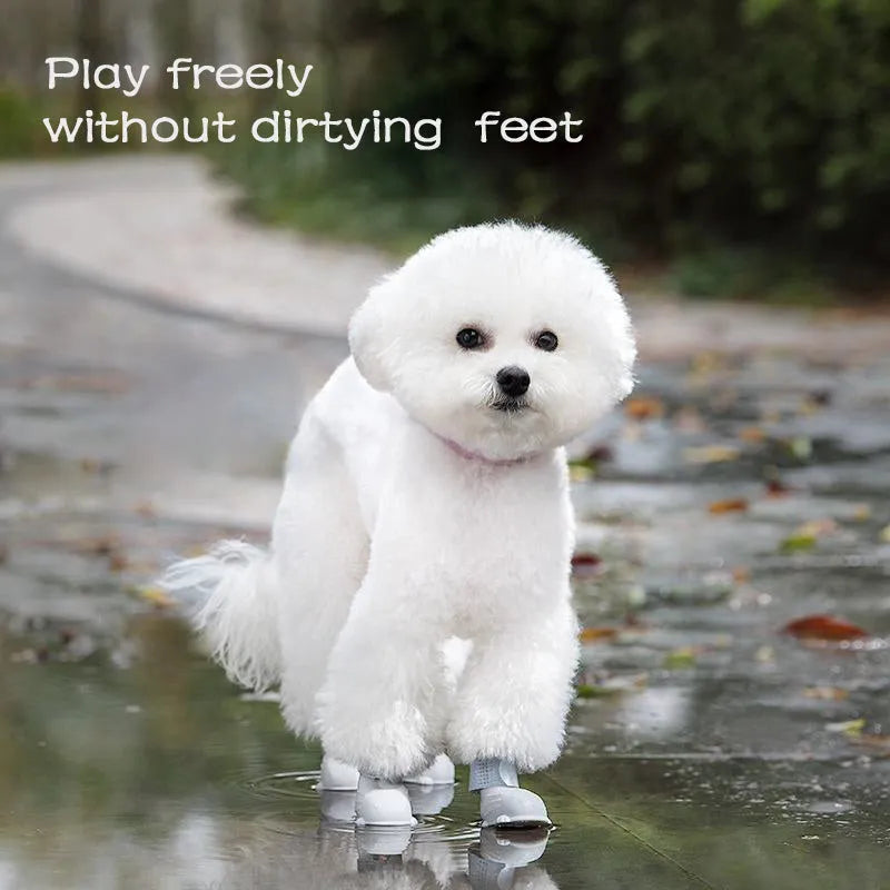 Set of four waterproof silicone dog rain boots in dark blue, gray, light blue, and pink on a white background