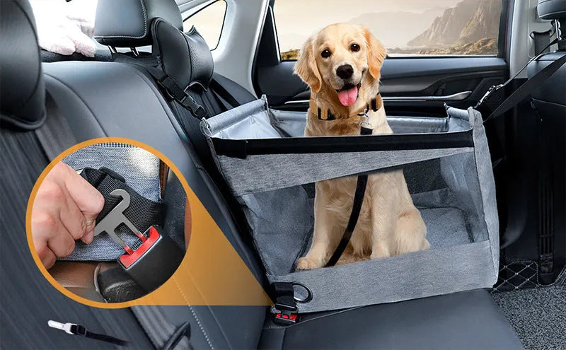 Oxford cloth foldable dog crate in black, shown next to a car