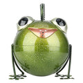 Creative cartoon iron frog watering pot in wrought iron with coloured frog design for garden decoration