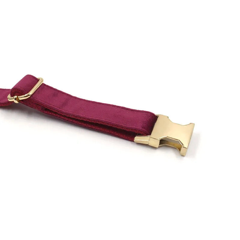 Burgundy velvet pet collar with bow tie and gold engraved clasp, available in sizes XS to XL