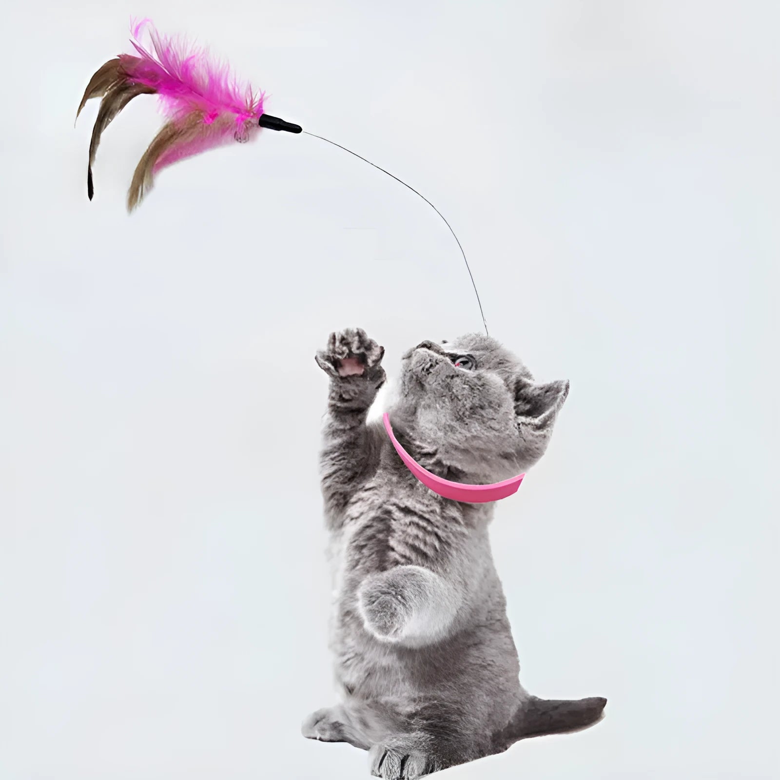 Blue adjustable cat wand toy with silicone feather collar and bell