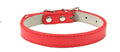 Small and medium dog collar in black PU leather with adjustable buckle, monochrome design