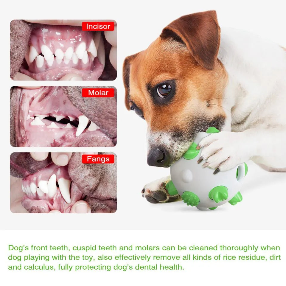 Blue dog teething chew ball with serrated bumps and hollow treat compartment