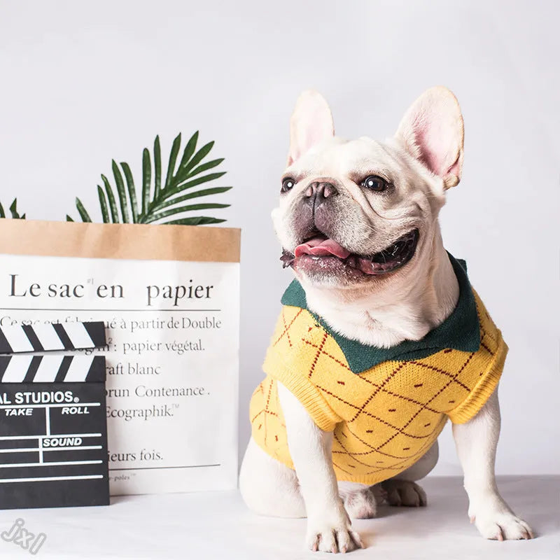 Yellow cotton dog sweater with collar on a white background, Japanese Korean style knit design