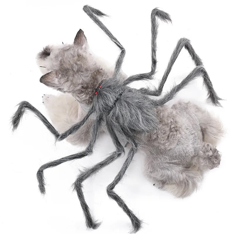 Grey big spider Halloween costume on a small dog, showing the full costume fit.