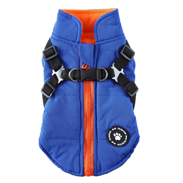 Dog wearing chest strap jacket with cotton-padded polyester insulation in blue colour