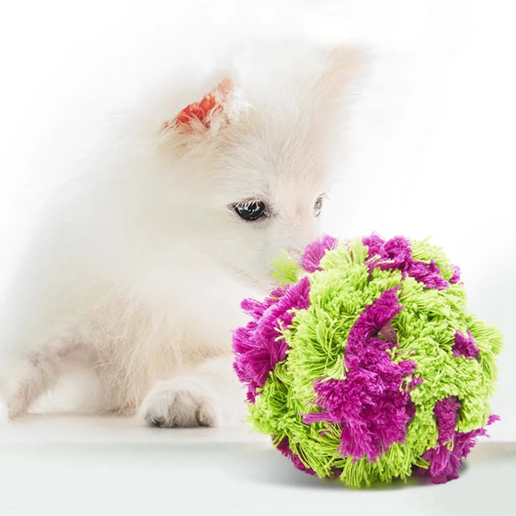Purple sea urchin plush dog chew ball with multiple protruding sections for teething relief