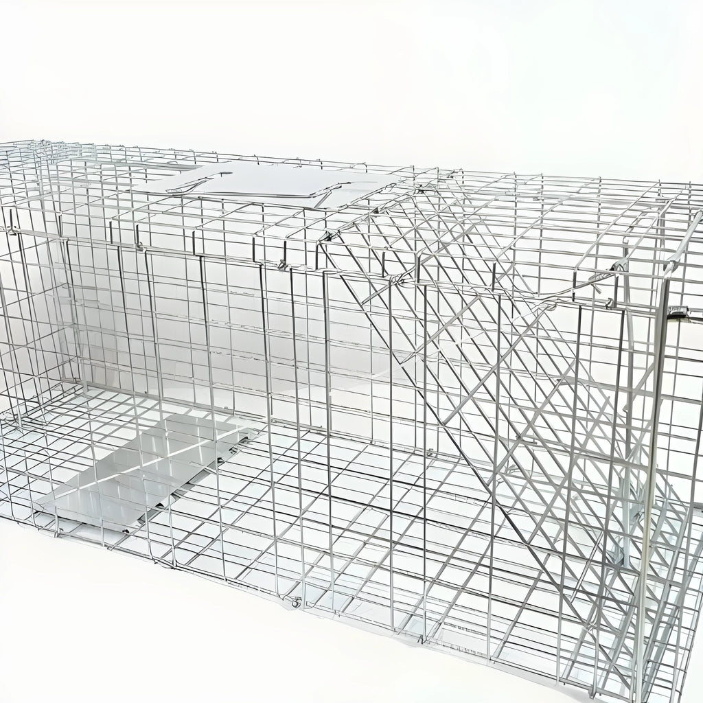 Fully automatic foldable steel cat trap cage in galvanised or black finish, sizes 60x20x18cm, 65x26x23cm, 80x32x28cm