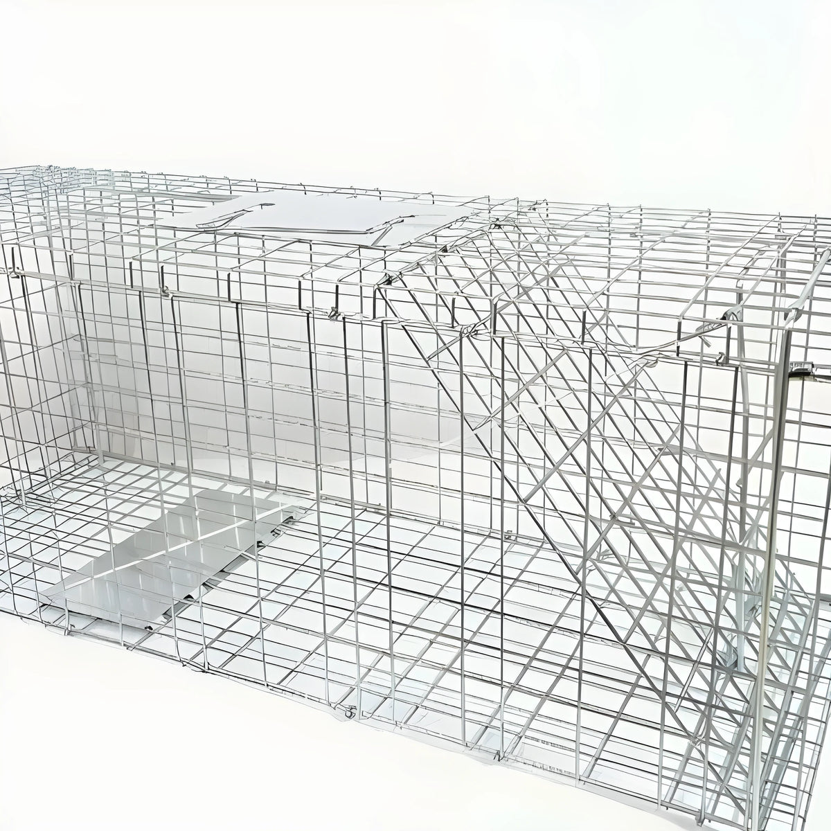 Fully automatic foldable steel cat trap cage in galvanised or black finish, sizes 60x20x18cm, 65x26x23cm, 80x32x28cm