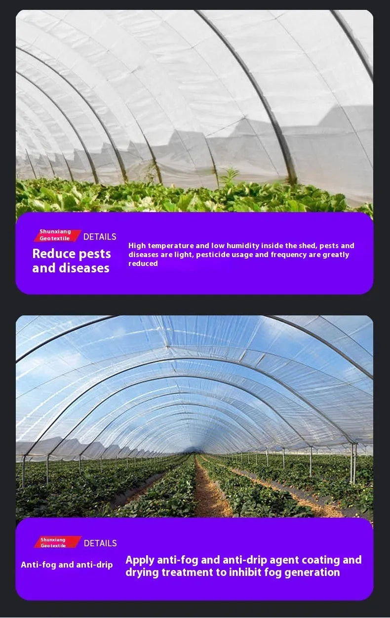 Roll of transparent plastic greenhouse cold film measuring 4m by 8m for vegetable shed insulation.