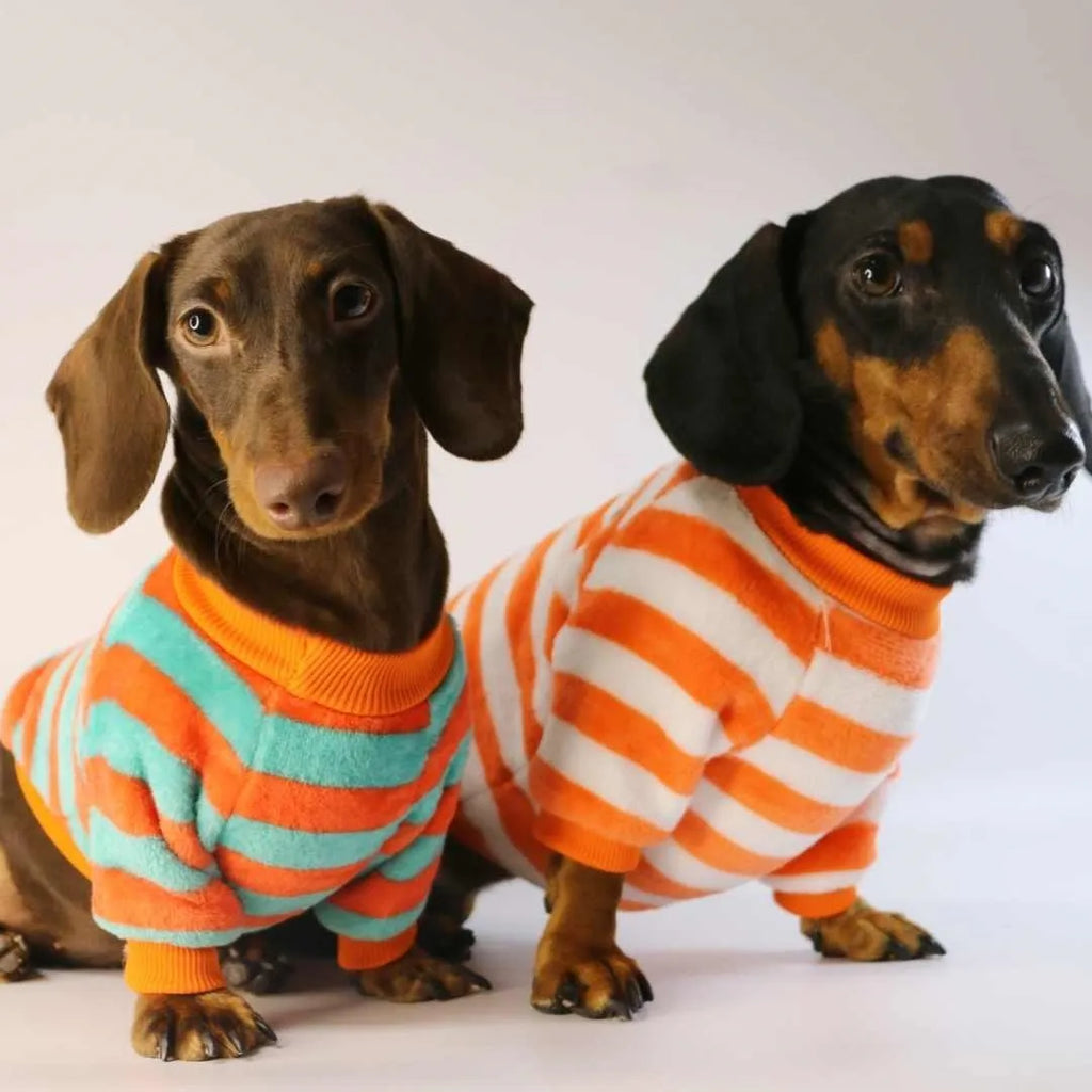 Orange red and white striped casual sweatshirt for a dog, featuring a round neck.