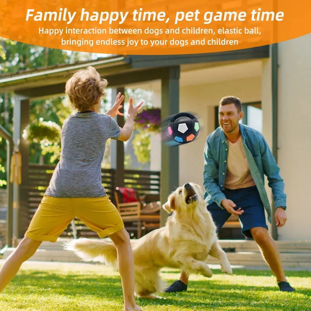 Football tennis ball shaped dog toy in white with black pattern for outdoor fetching