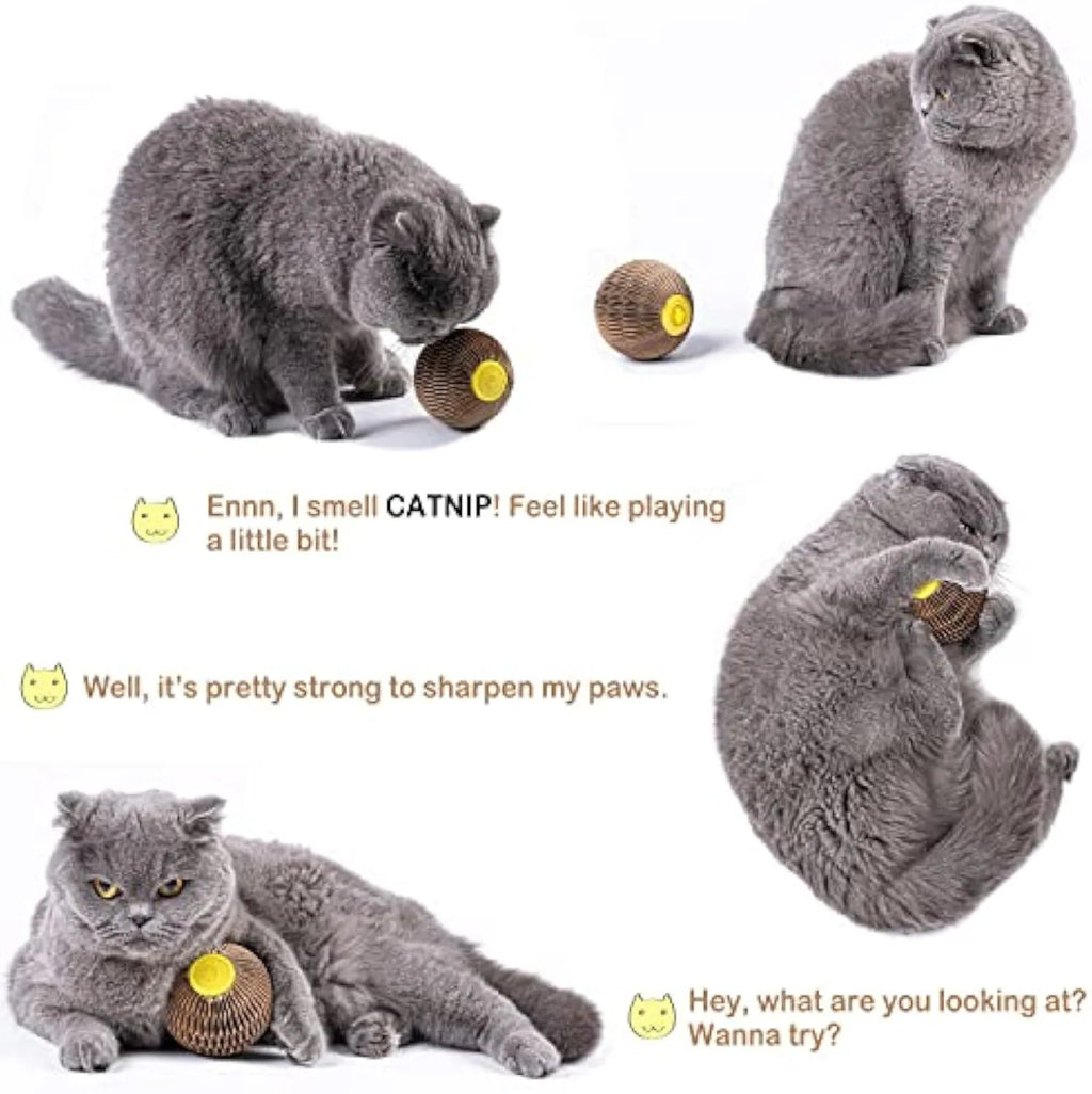 Brown catnip refillable scratch ball made from recycled corrugated paper with natural catnip included, 76mm size, on wooden floor