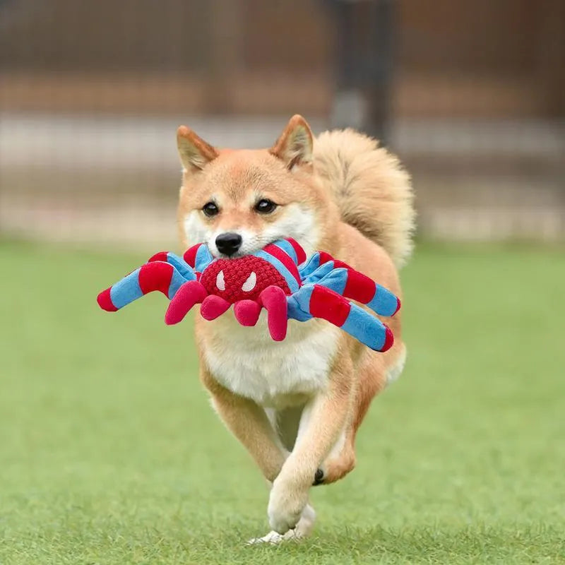 Red teddy bear dog toy for medium and large breed puppies on a neutral background.