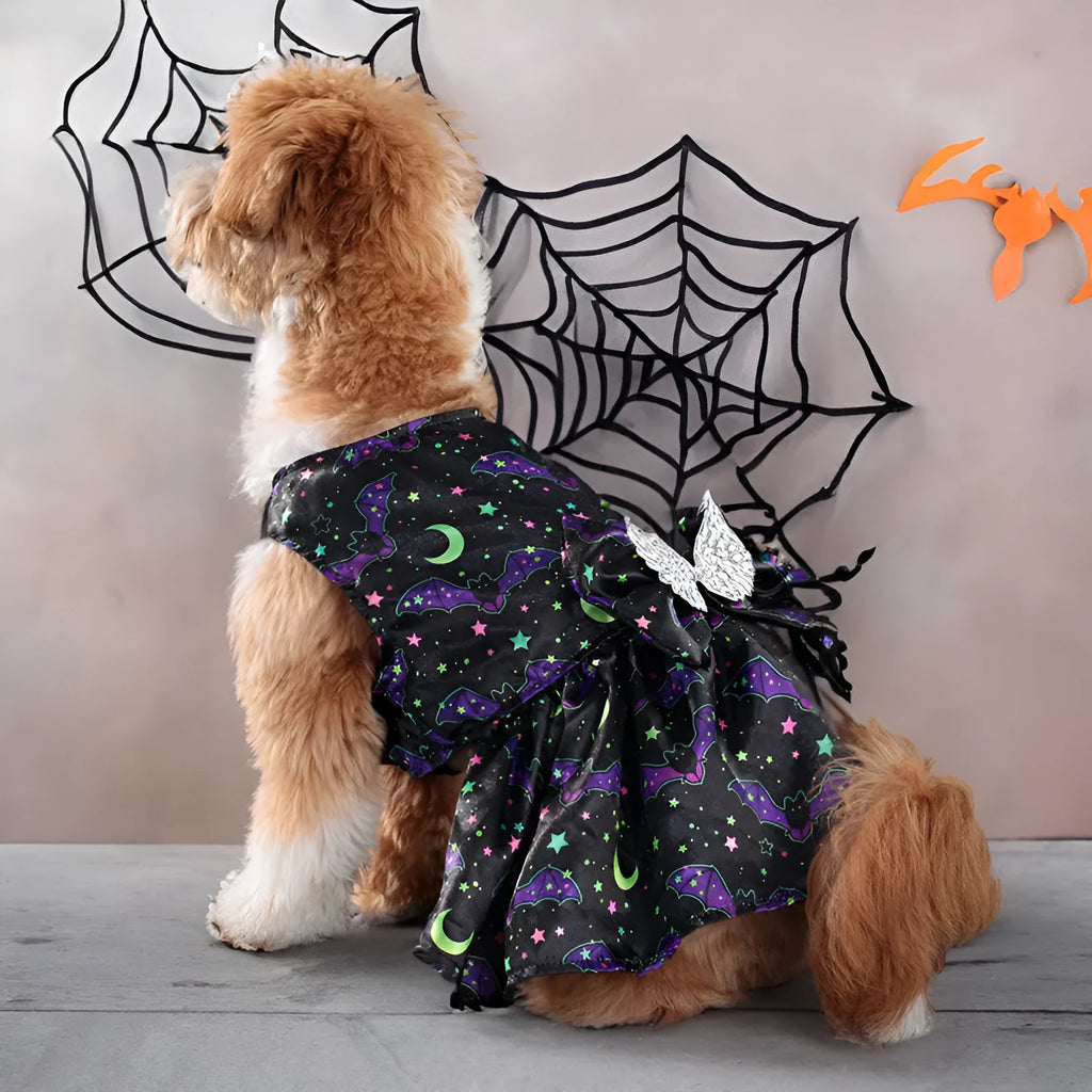 Halloween dog costume with angel wings in bright pumpkin orange colour.