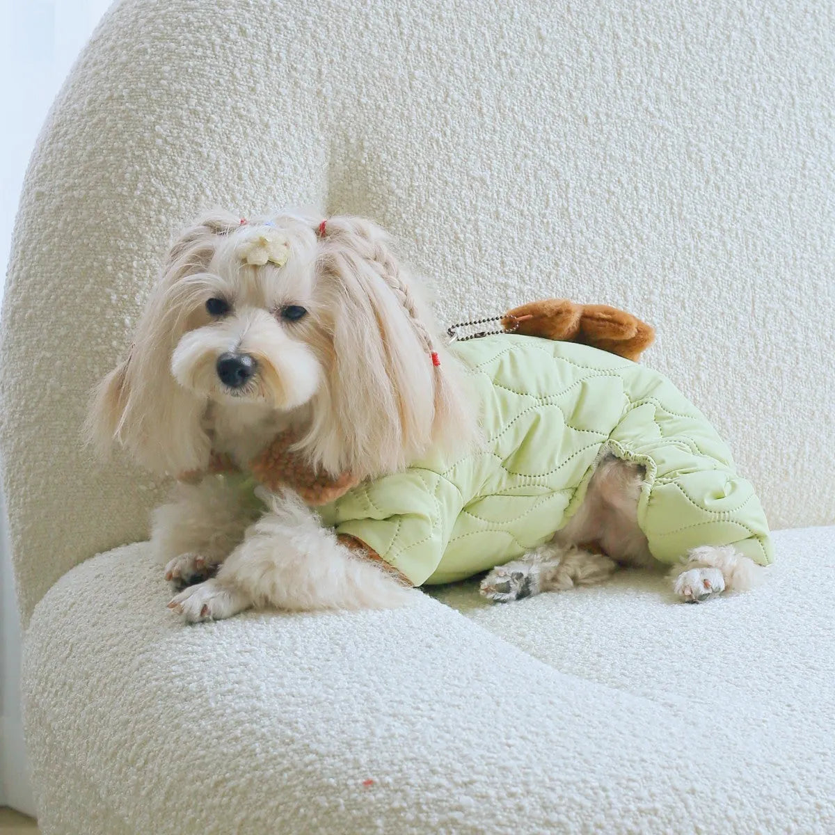 Light green cotton dog top with toy bear pendant on extra thick band, casual style